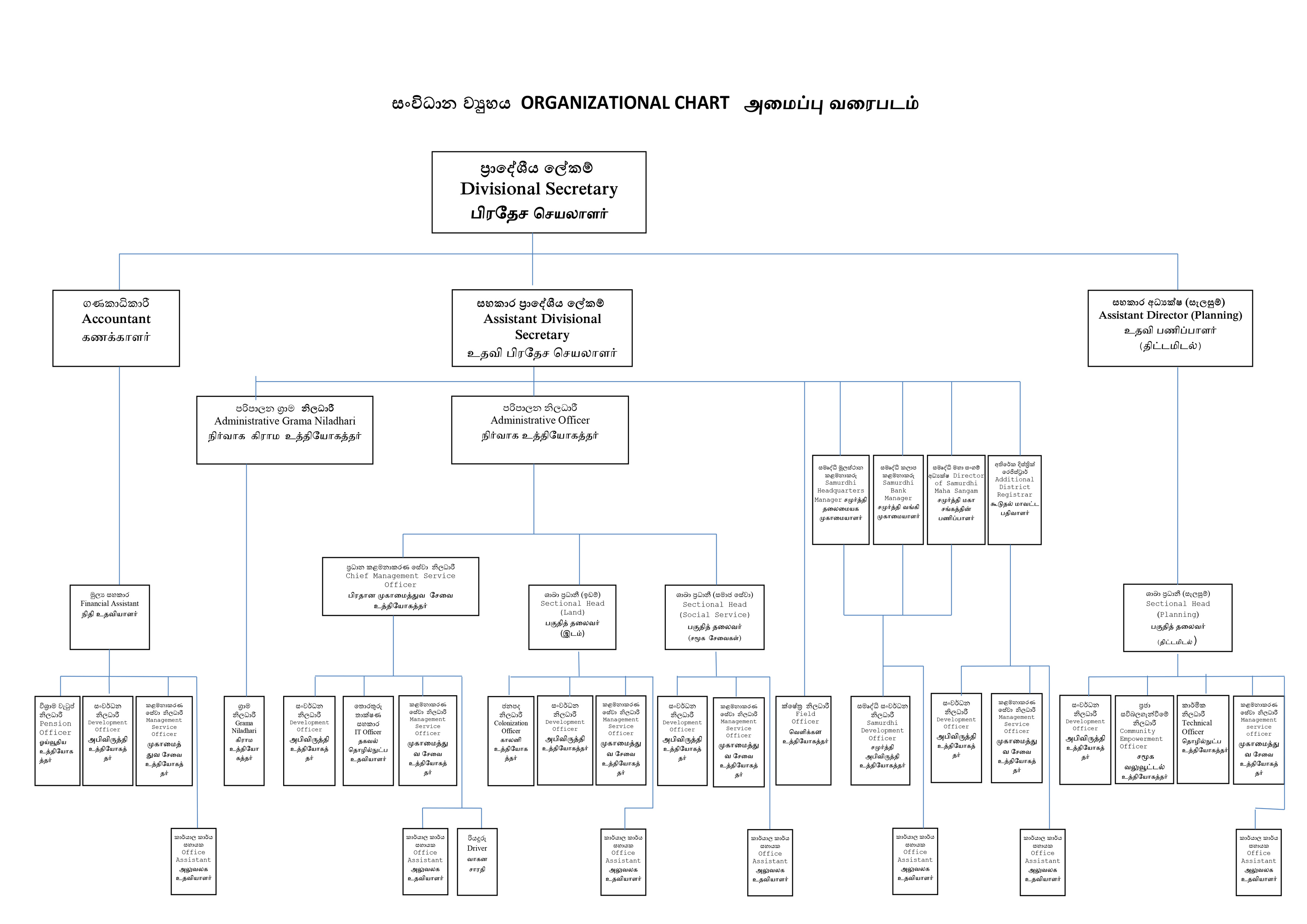 Organization Chart 2025